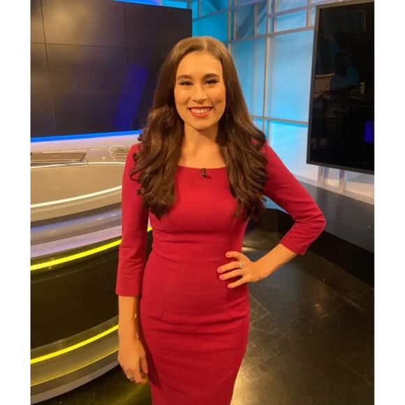 Black Halo Rowan Sheath‎ Dress Pink Pleated Boat Neck 3/4 Sleeve Sz 4 - Picture 4 of 13